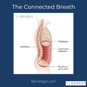 Breathe Better Move Better 4 Ways Breathing Changes Your Life Remedy Physical Therapy